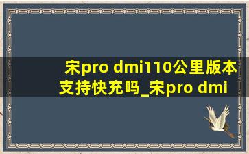 宋pro dmi110公里版本支持快充吗_宋pro dmi 110km可以快充么